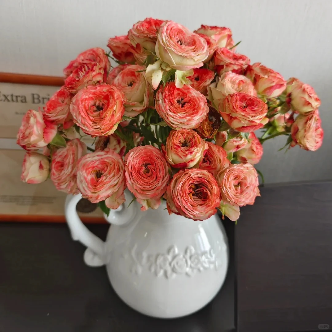 【云南鲜花】（野草莓）多头玫瑰 1单普通快递，2单以上顺丰冷链