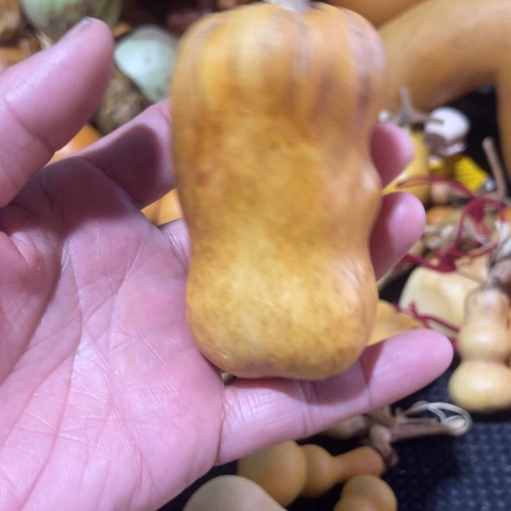 随***主葫芦哈哈哈哈哈哈哈哈