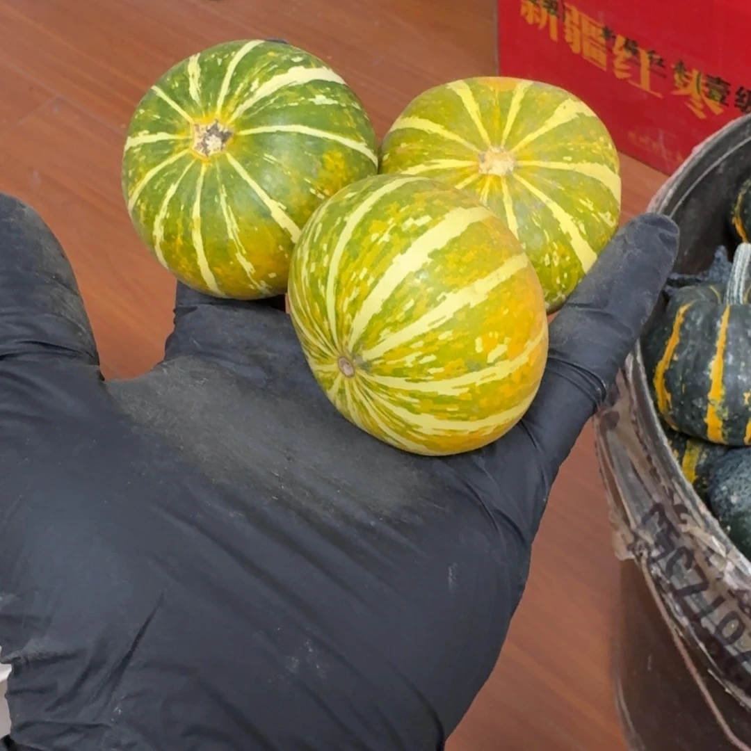 阿****林葫芦啊啊啊啊啊啊啊啊啊啊