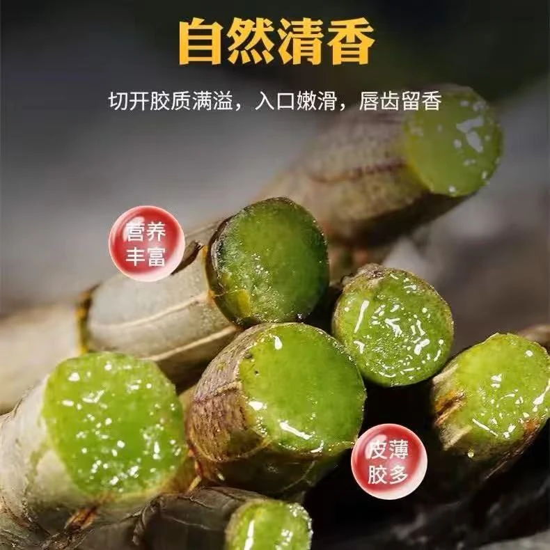 【飞飞精选】新鲜石斛条 榨汁煲汤煲水蒸肉 美味