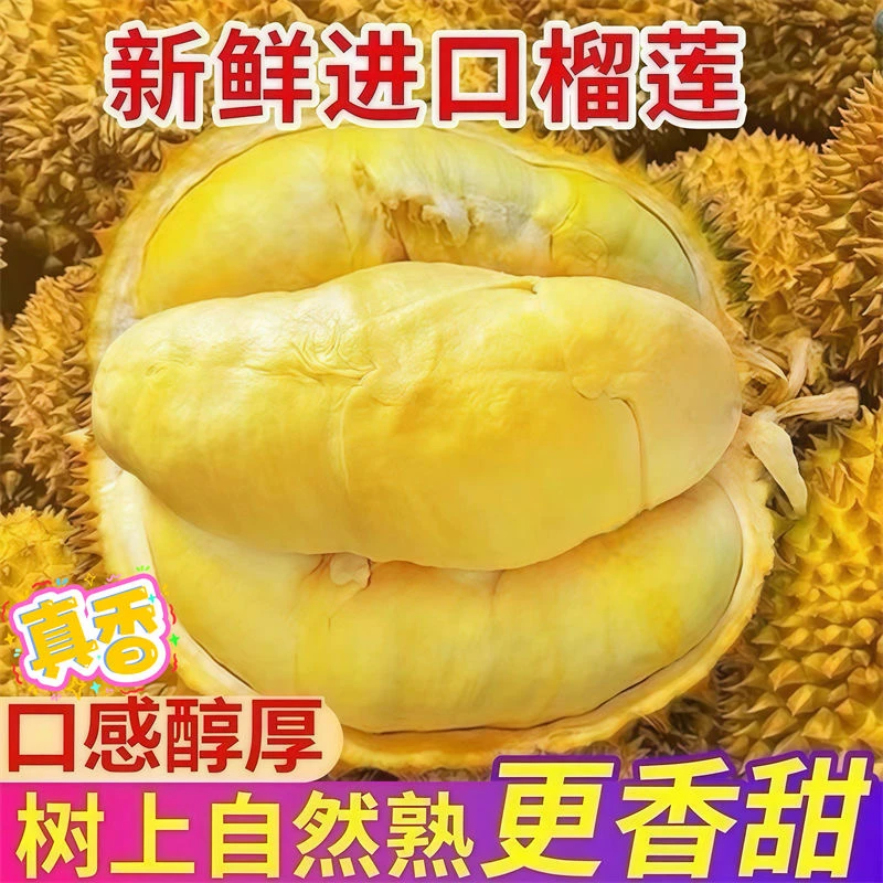 【成都同城闪送】泰国新鲜金枕榴莲2.5斤-10斤一整个树上熟鲜果核小金枕榴莲小时达包配送到家金枕泰国东部