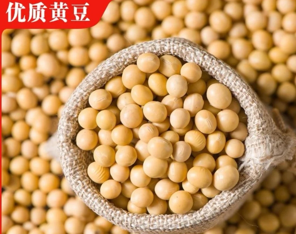 【黄豆】湖南高山农家自种老品种豆子