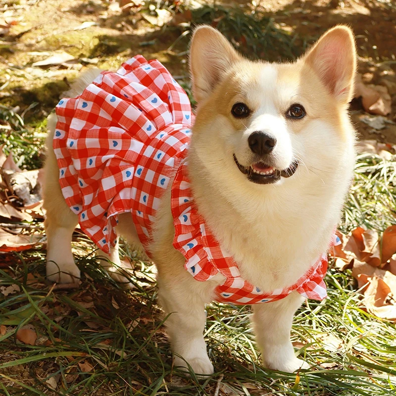 网红柴犬柯基比熊狗狗衣服春夏薄款公主裙防掉毛防晒防虫吊带马甲