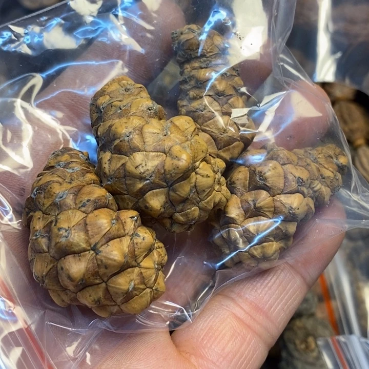吊坠桃核娜姐真的98