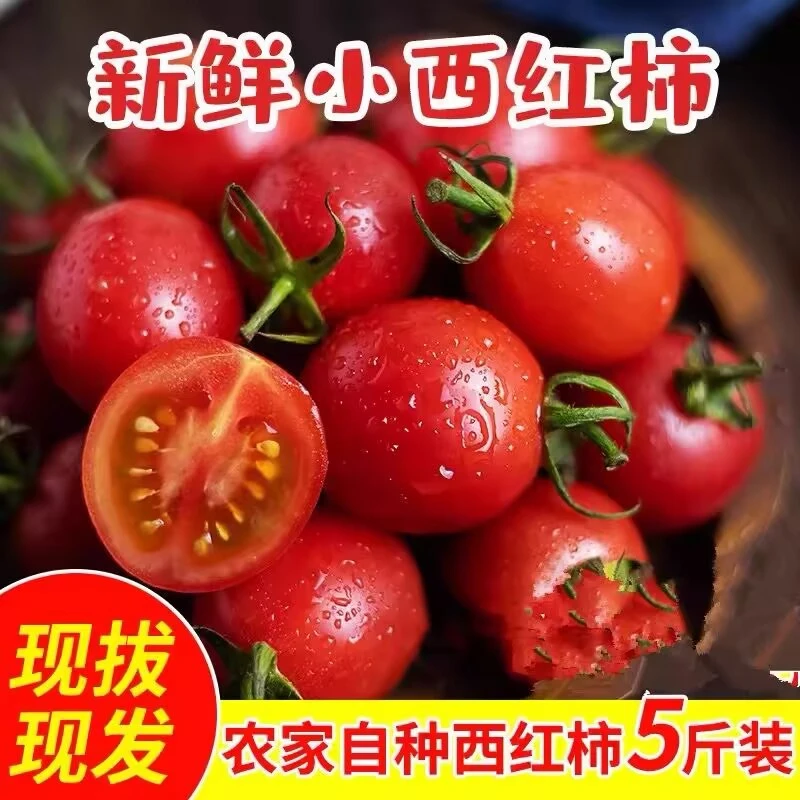 广西百色正宗圣女果产地直发千禧果孕妇儿童新鲜水果整箱五斤包邮