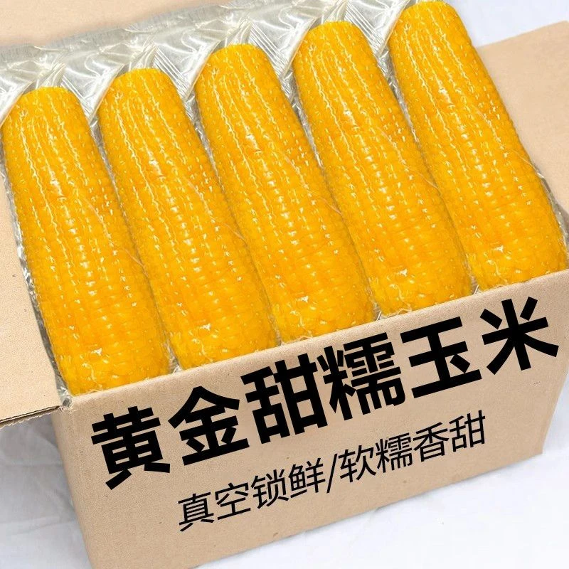 整箱10根可试吃3根东北黄糯玉米软糯香甜黏玉米精选180g