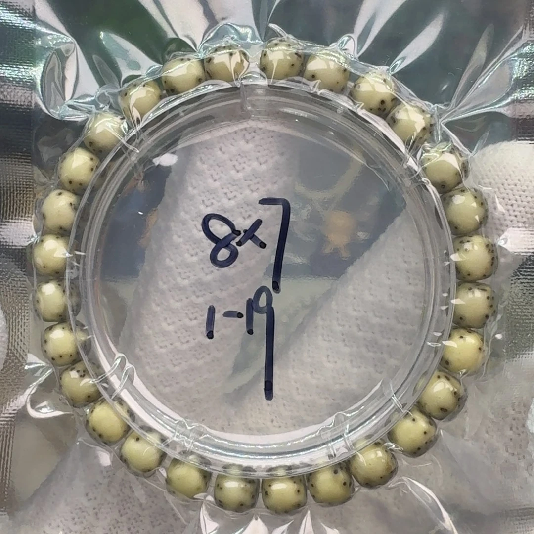 手串星月菩提1-19
