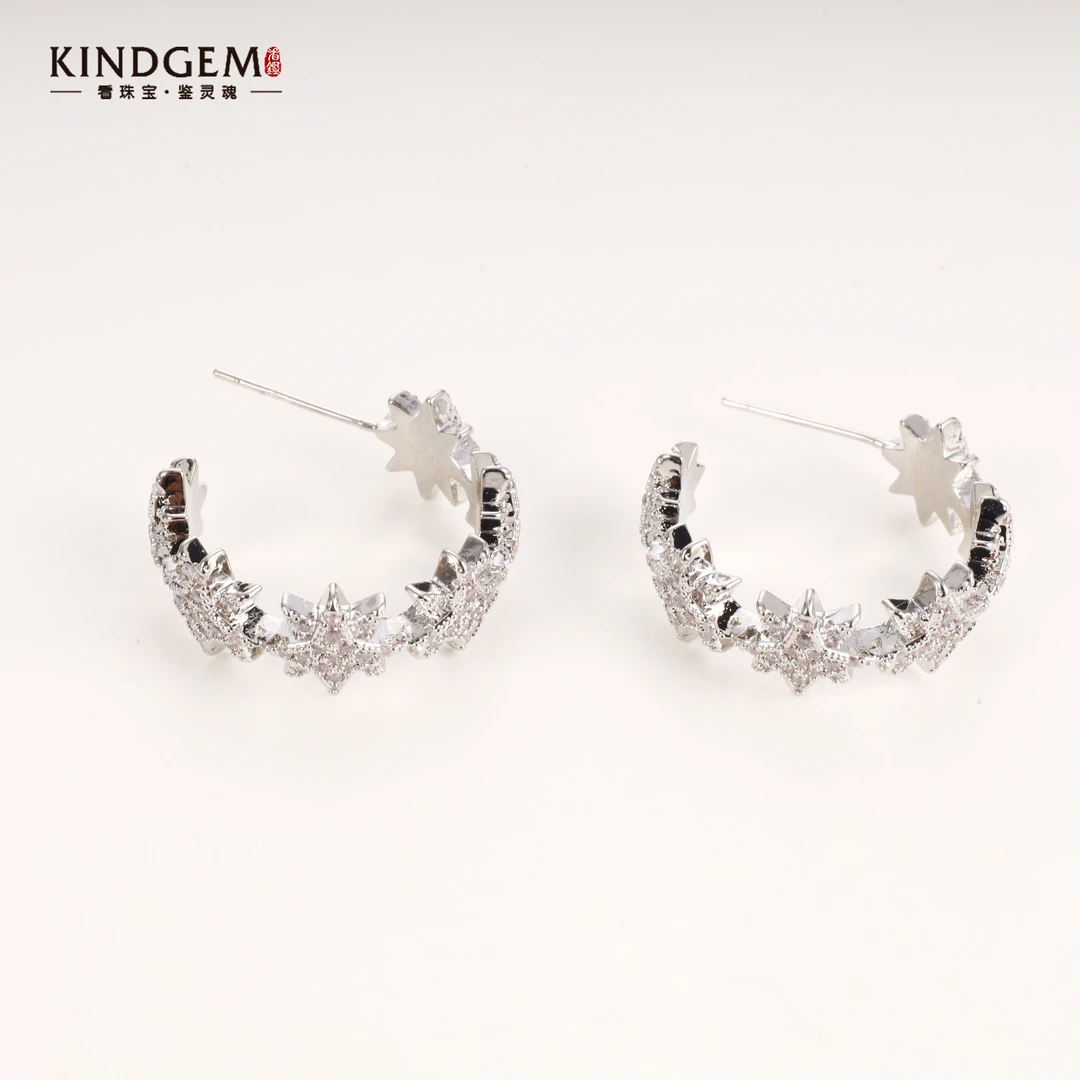 铜合金锆石耳饰 【Lisa Nik】美·银色镶嵌精致耳环 C-28919