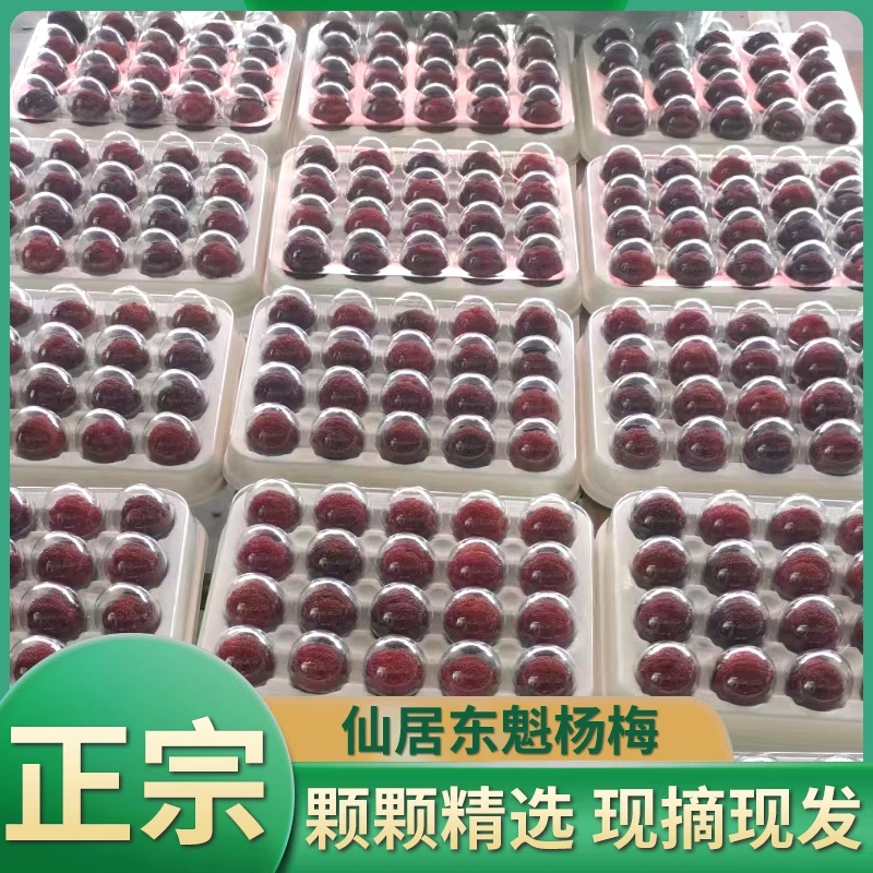【直播专属链接】仙居东魁高山杨梅精品（单果20g左右）80颗