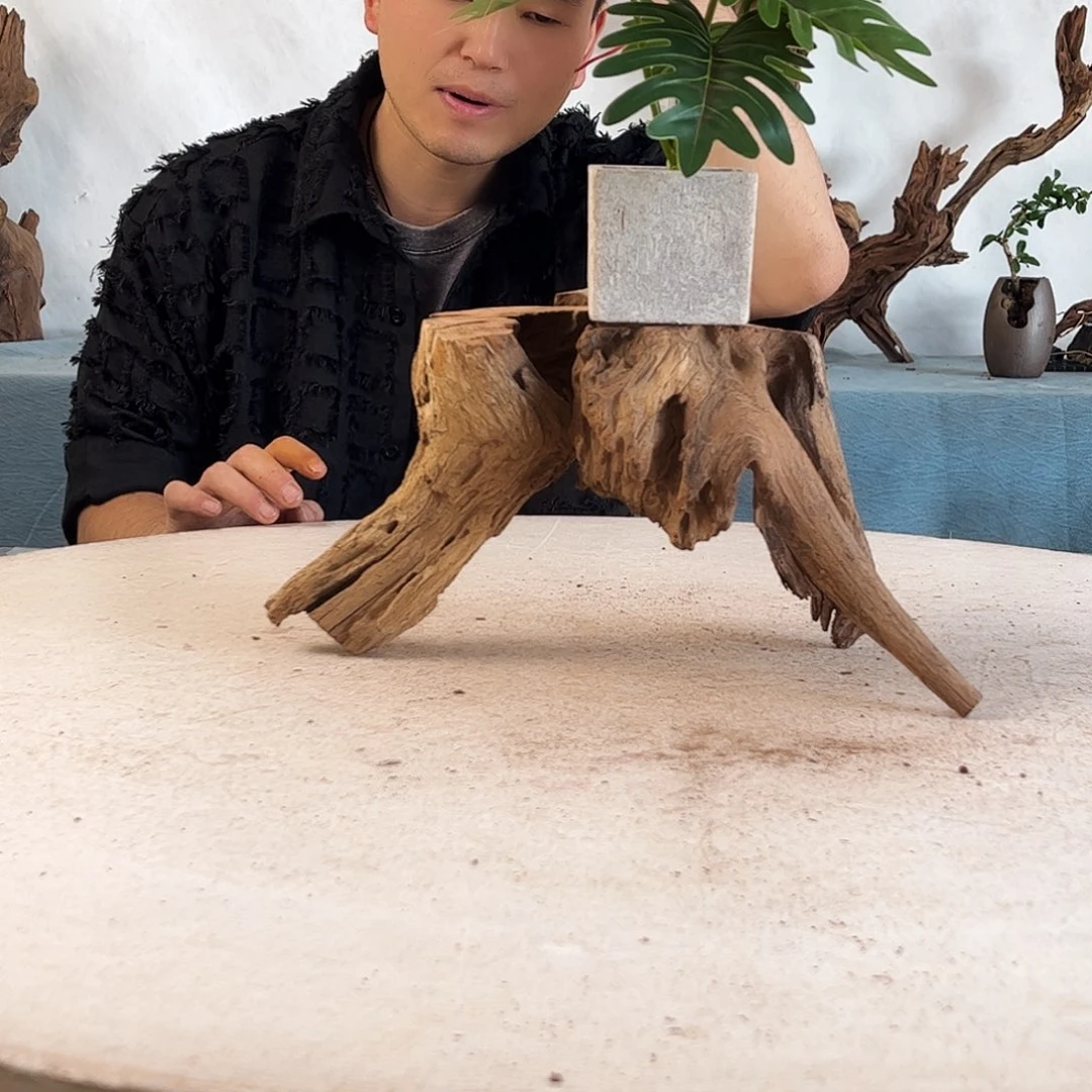 周末福利沉木造景