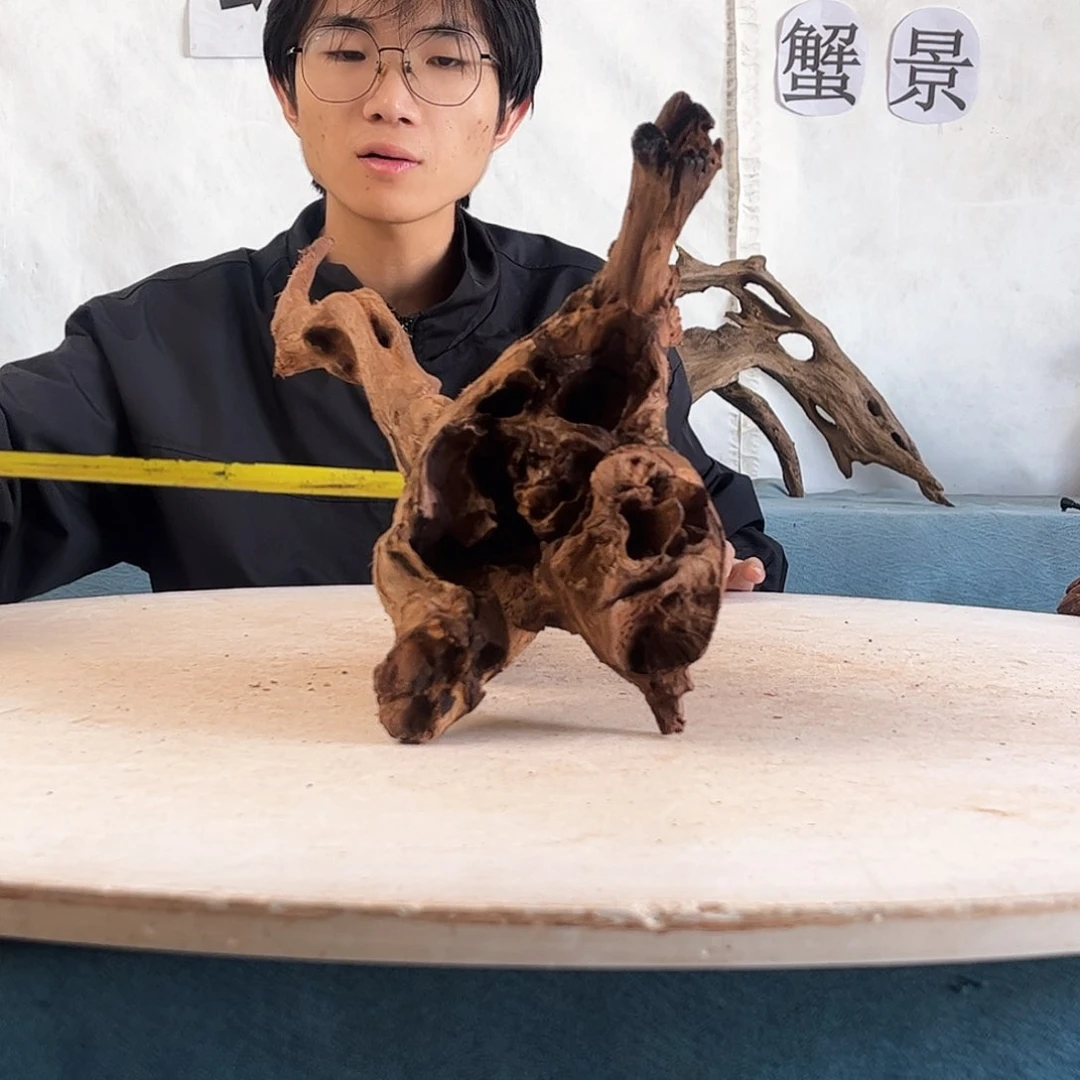 43.16.25 沉木造景爬宠造景