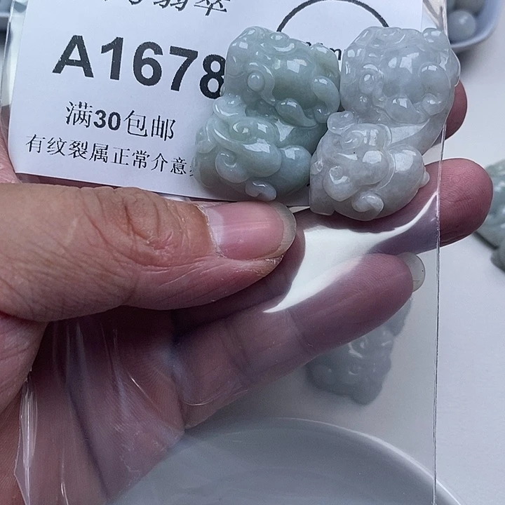 偶***遇翡翠未镶嵌颈饰貔貅