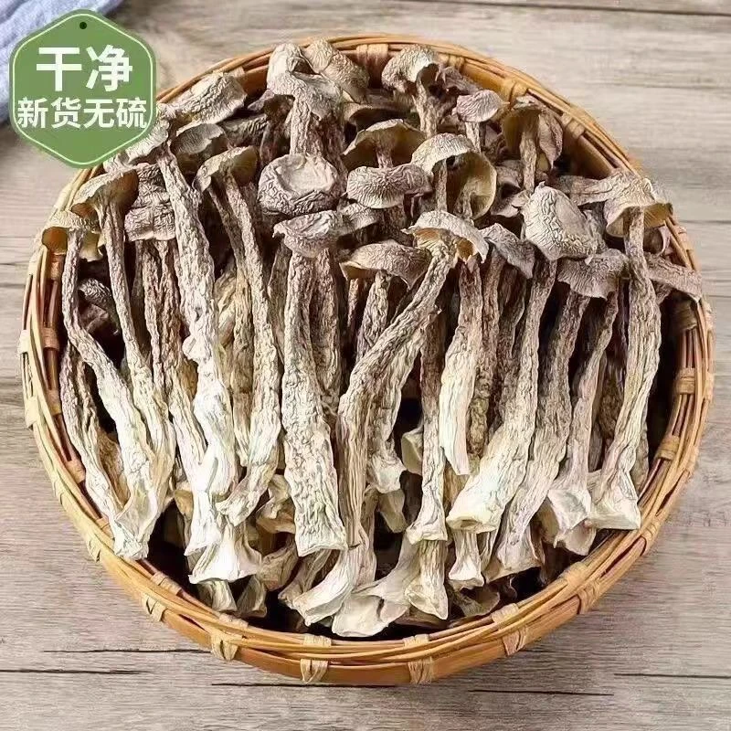 高山鹿茸菇干货无硫无熏新货可炒菜煲汤农家特产
