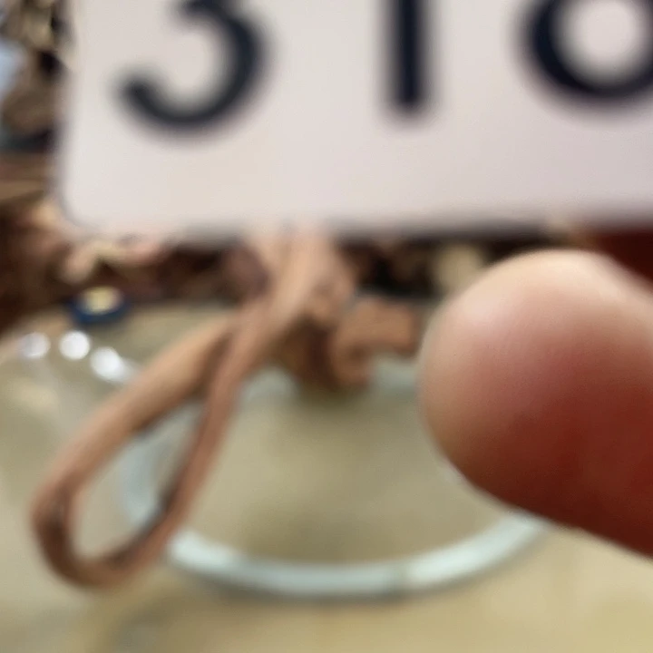 风车木（黑檀木）火*我们都是很喜欢这个