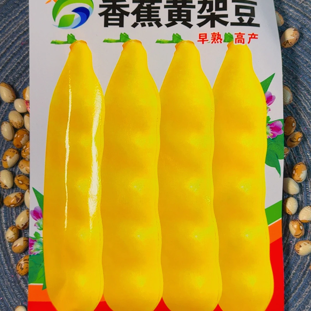香蕉面菜籽种子正品蔬菜豆籽黄油豆角山河【包装随机】菜籽蔬菜种子