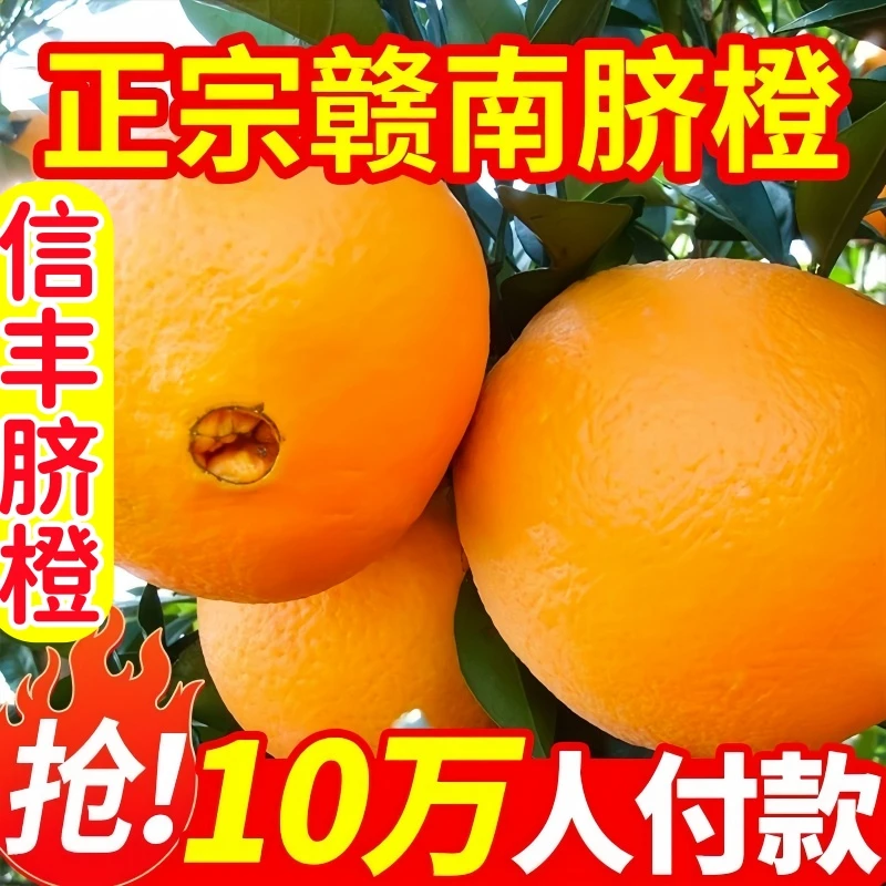 顺丰包邮正宗赣南脐橙新鲜现摘香甜多汁皮薄江西信丰橙子产地直发
