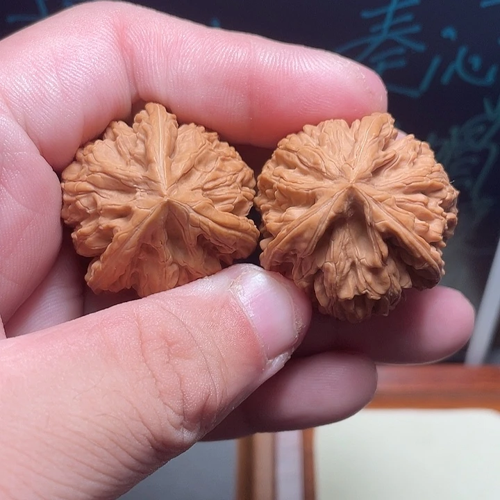 文玩核桃把件35尺寸御龙粗筋