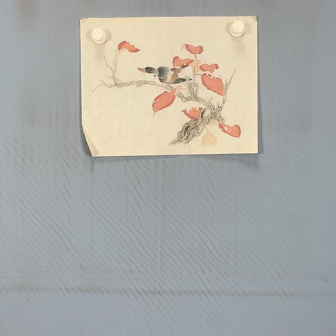 国画697 牡丹仙子也