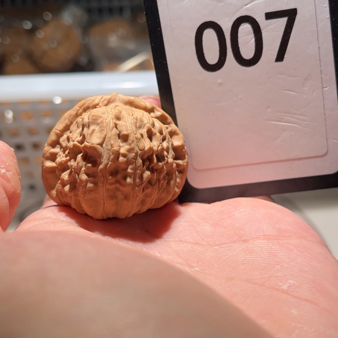 吊坠文玩核桃?****~007