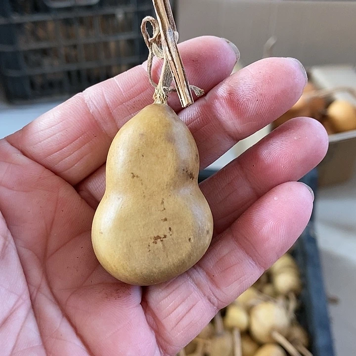 vhj jv g j z j j s s s