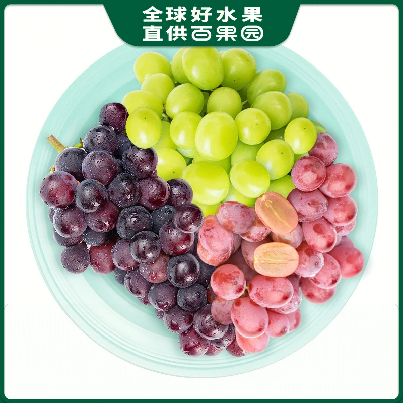 【马卡龙葡萄】A级阳光玫瑰青提大300g+A级克瑞森红提300g+巨峰葡萄400g共1kg