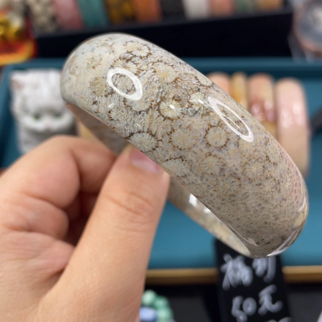 未镶嵌手镯硅化玉