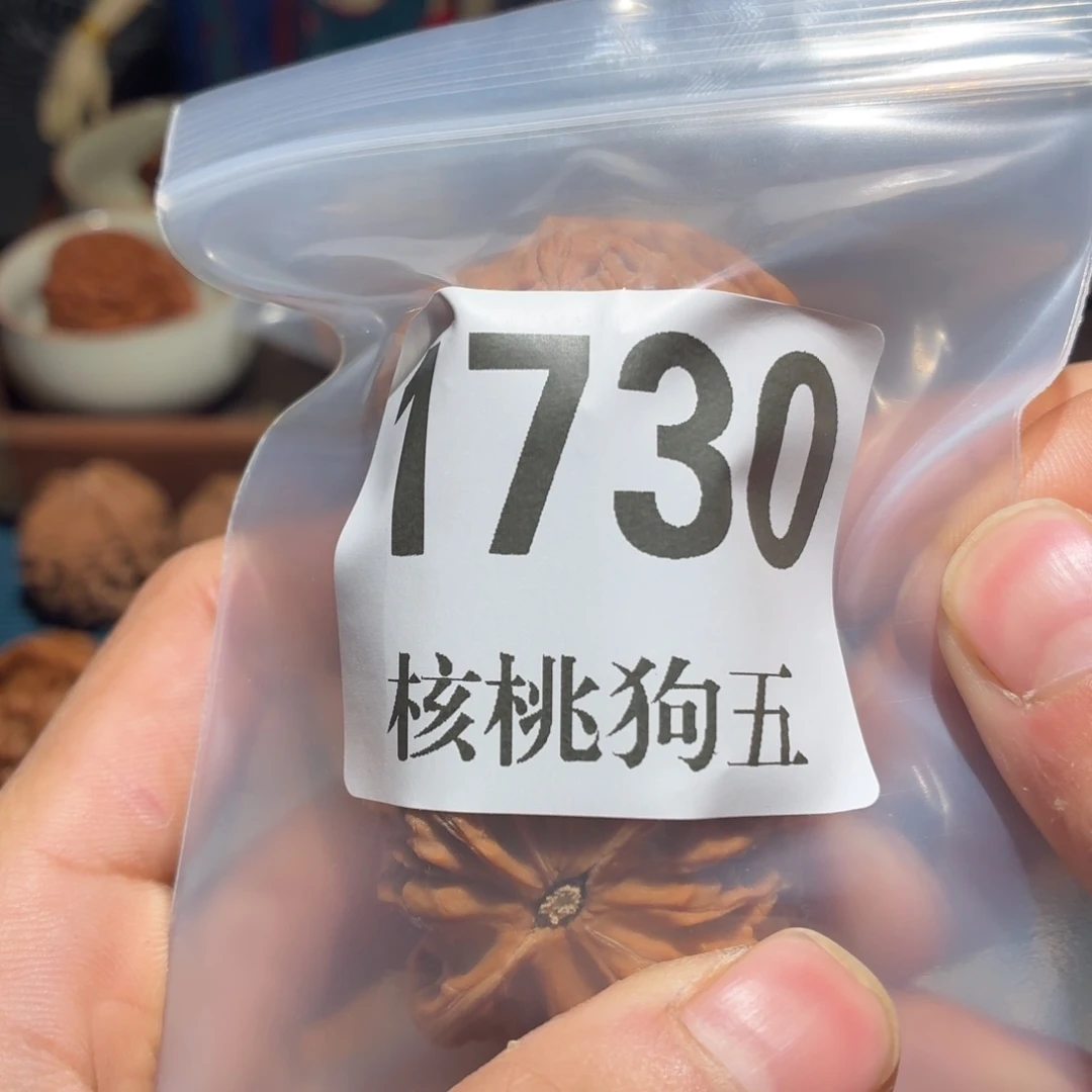 橙***水核桃1730山地磨盘