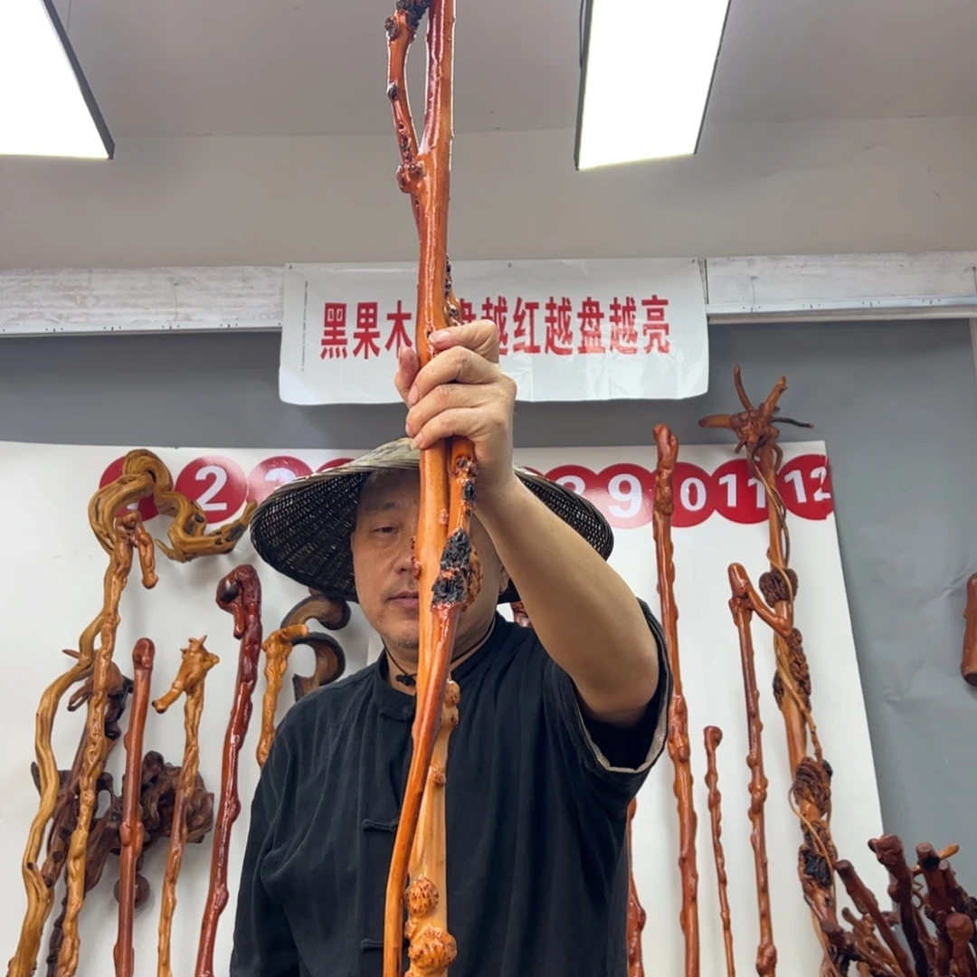 黑果木其他黑果木094