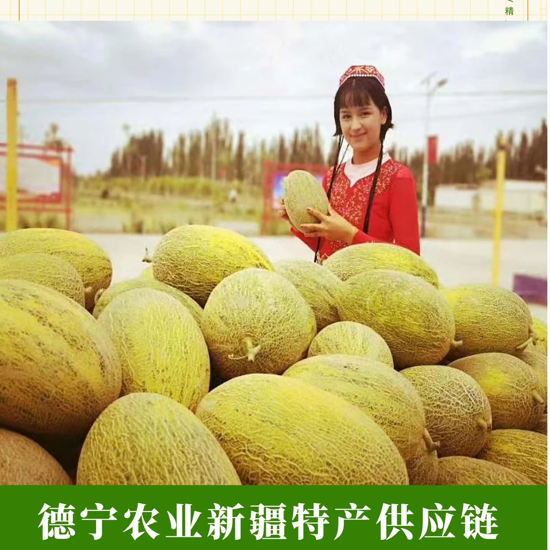 正宗新疆伽师瓜八六王新鲜应季水果爆甜皮薄脆甜[庭庭美少女专属]