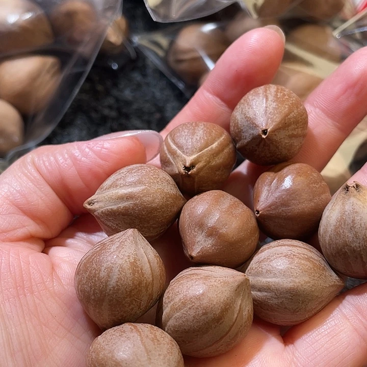 落***書吊坠橄榄核1.9✖️2.4