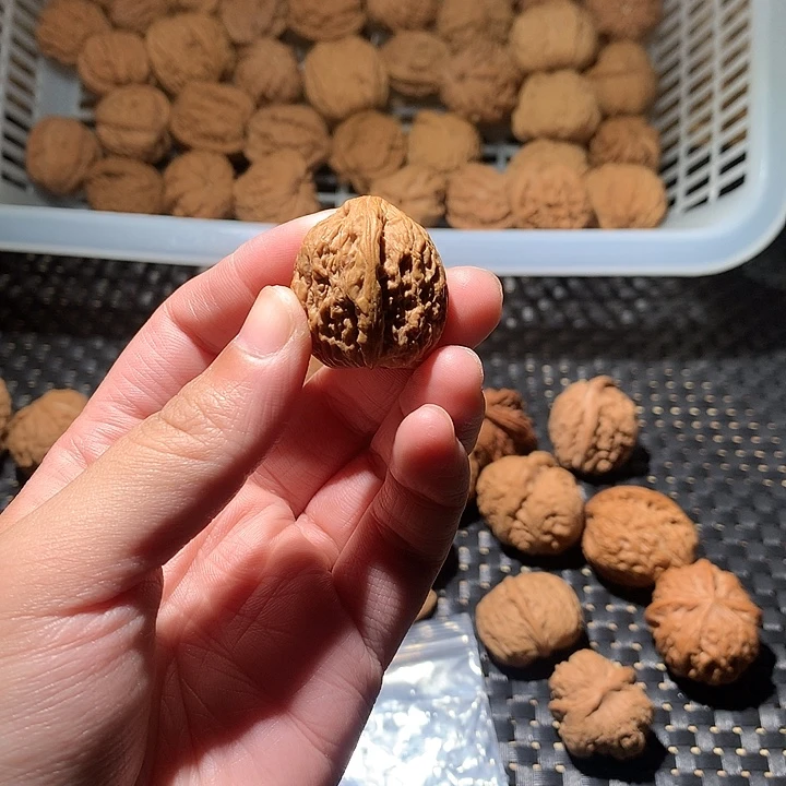 改***天文玩核桃把件南疆