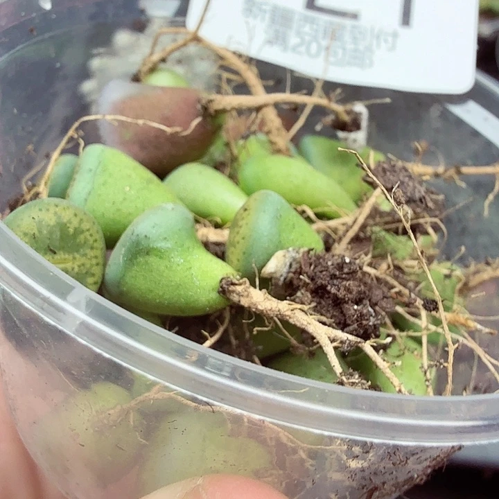 这个点吃晚饭真的有点921我们