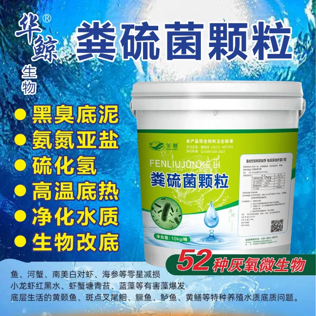 华鲸粪硫菌颗粒专吃氨氮亚盐硫化氢净化水质生物改底清除黑臭底泥
