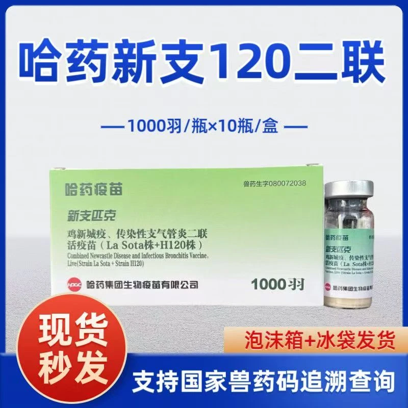 鸽子鸡鸭鹅新城疫专用赛鸽肉鸽观赏鸽