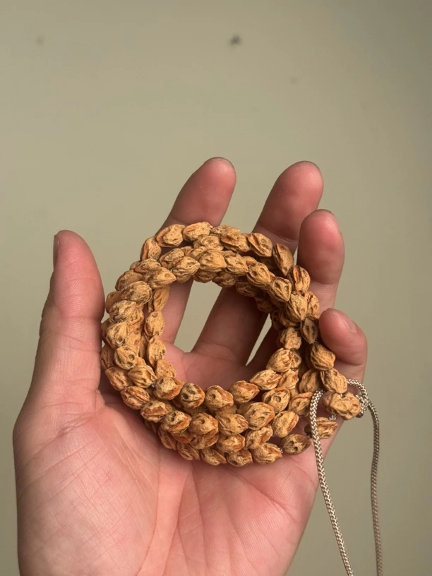 热振柏香籽尸陀林万鬼蛇粉红芽