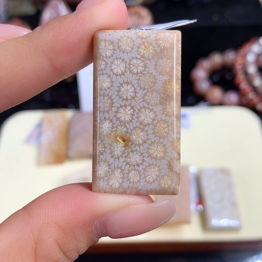 吊坠(赠链)未镶嵌硅化珊瑚（珊瑚玉）4号上新吊坠