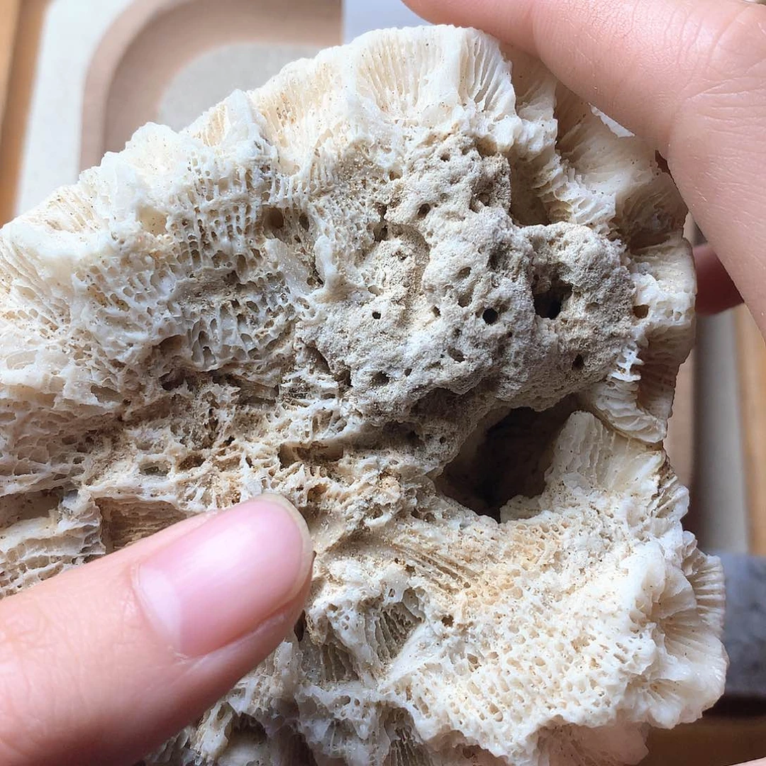 石英质玉颈饰未镶嵌莲