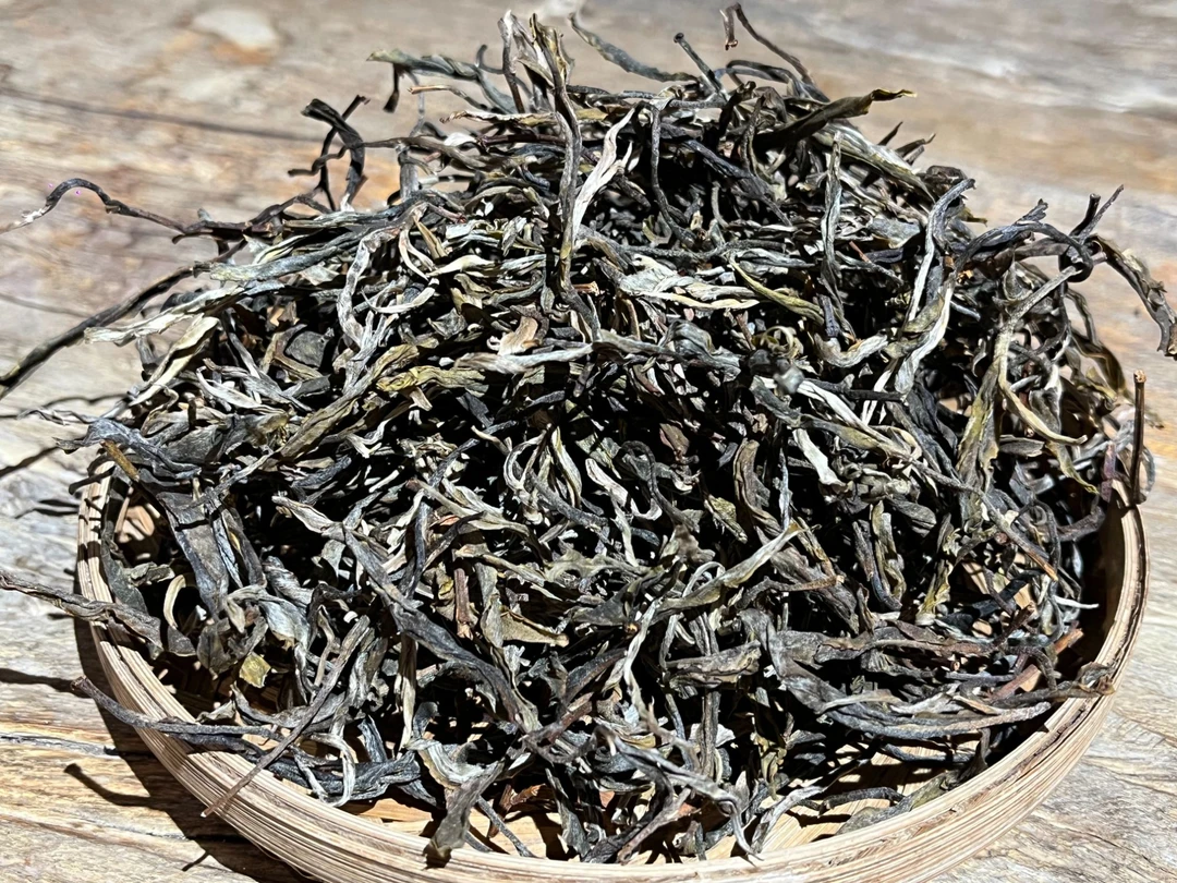 2024年老班章古树秋茶生茶散茶100克