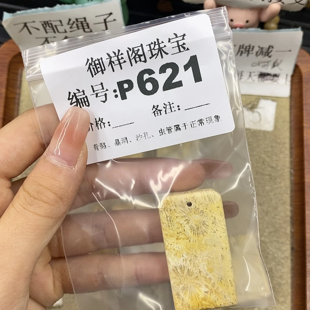 硅化珊瑚（珊瑚玉）未镶嵌颈饰姹**柔