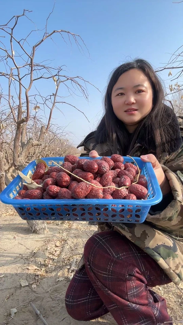 和田灰枣 原生态发货 新疆产地发货 全国包邮 树上自然吊干枣