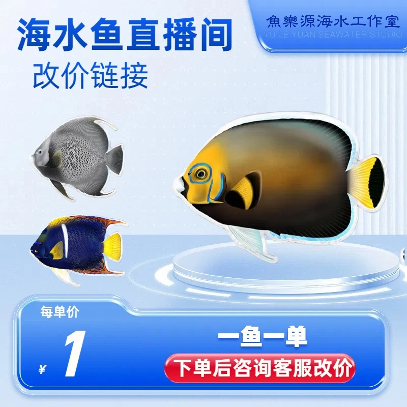 海水鱼直播间改价专用链接