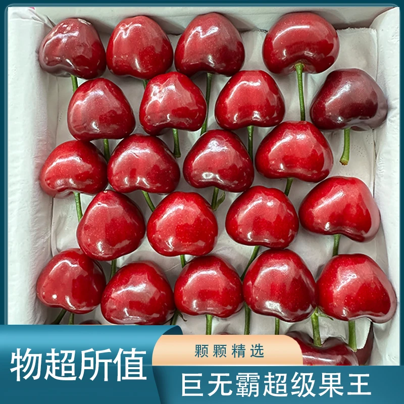 巨无霸美早樱桃5J-8J3斤现摘顺丰空运包邮