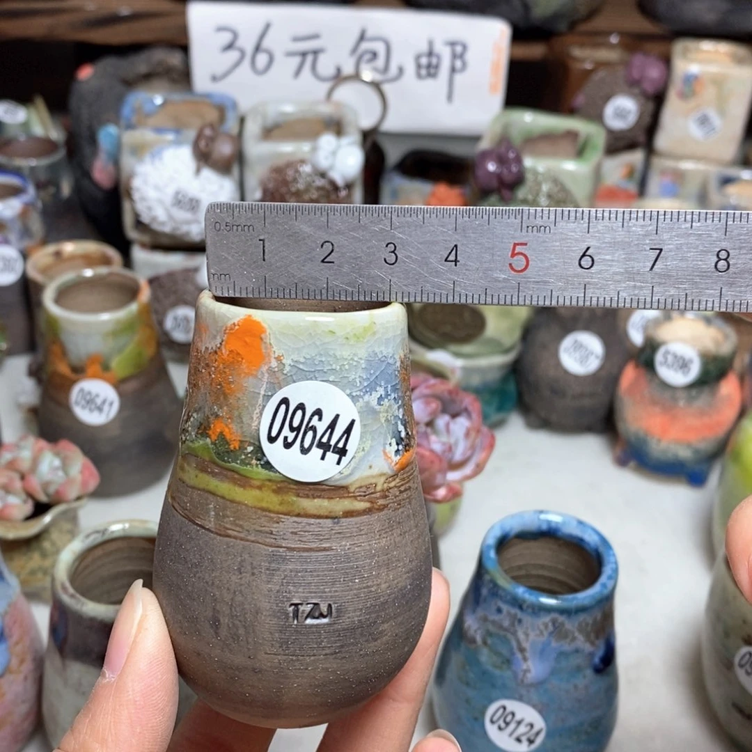 拍5送一个小礼物