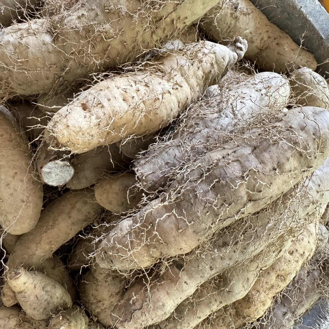 广东阳春农家自种甜薯毛薯 爆皮粉糯香甜