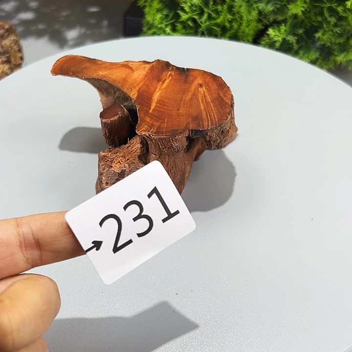 香榧木大*火琉璃……