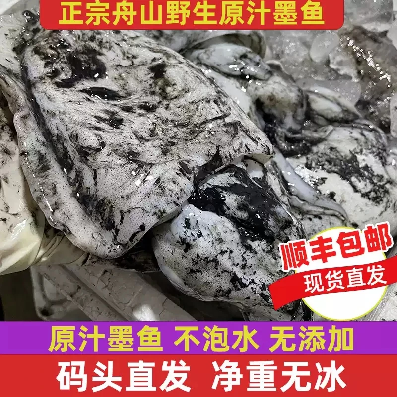 [小阿周]舟山特产原汁墨鱼乌贼不泡水 1斤3头