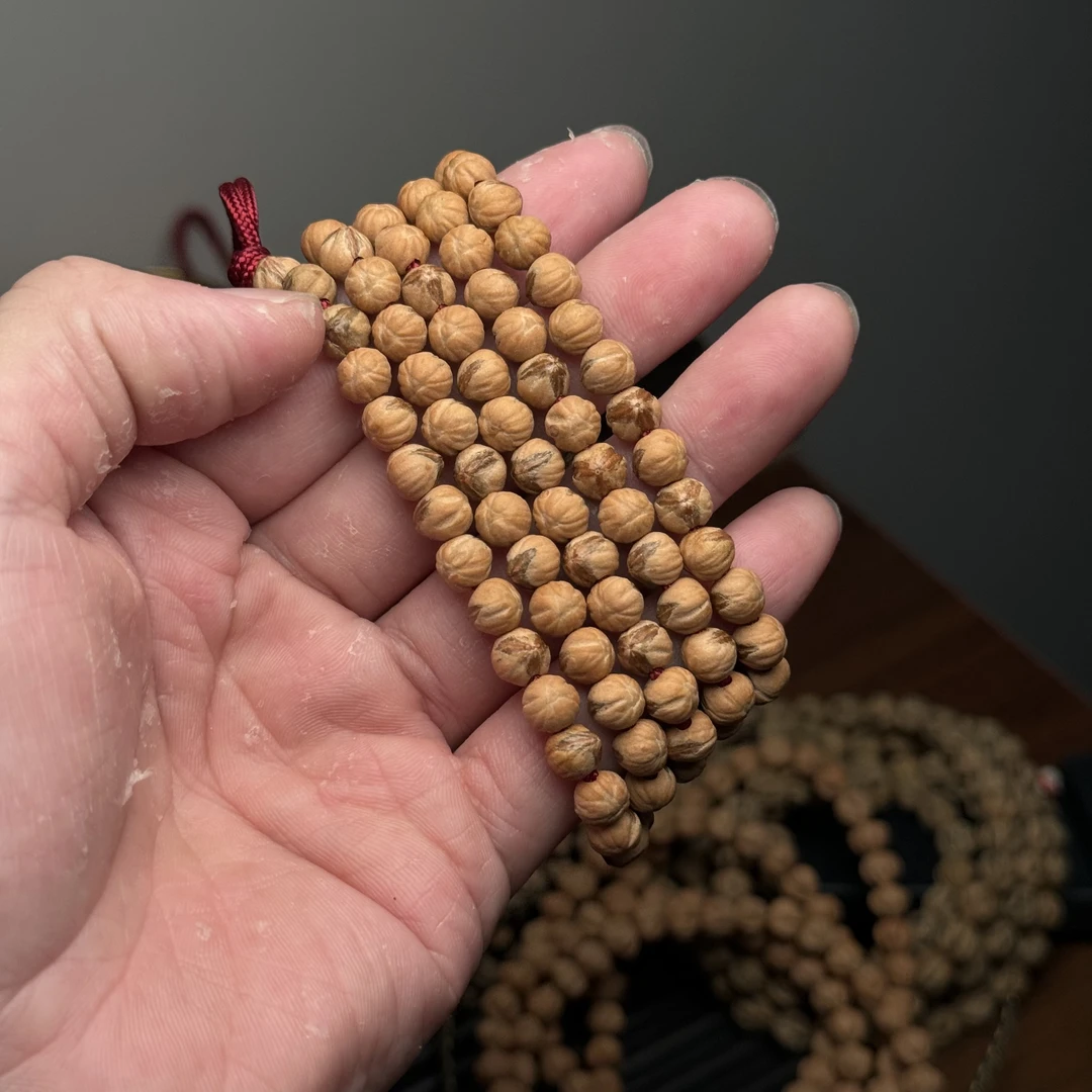 热振柏香籽精挑正奔滴溜圆尺寸7