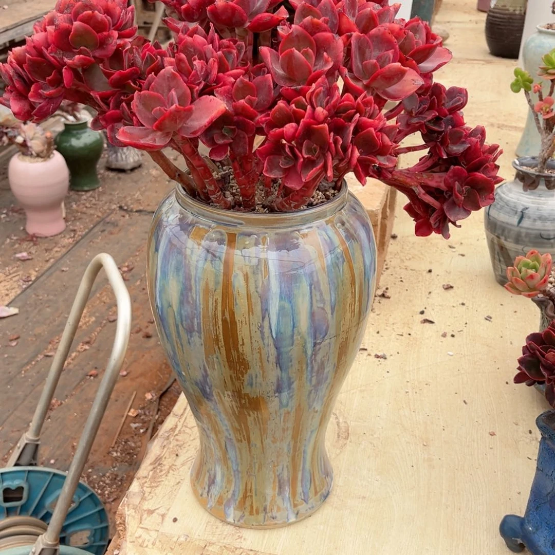 你在家还是＂我也想要这样一