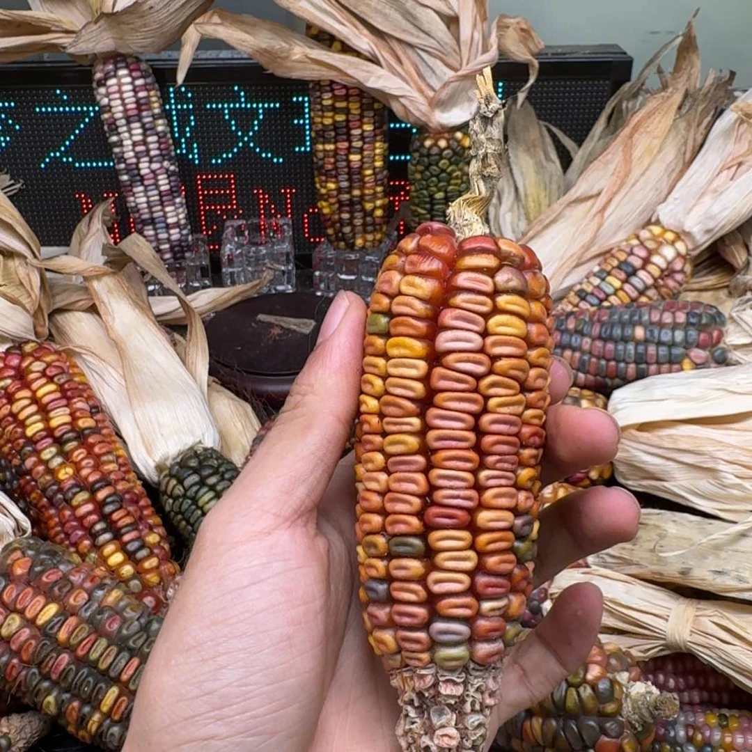 柏香籽/百香籽吊坠1*?