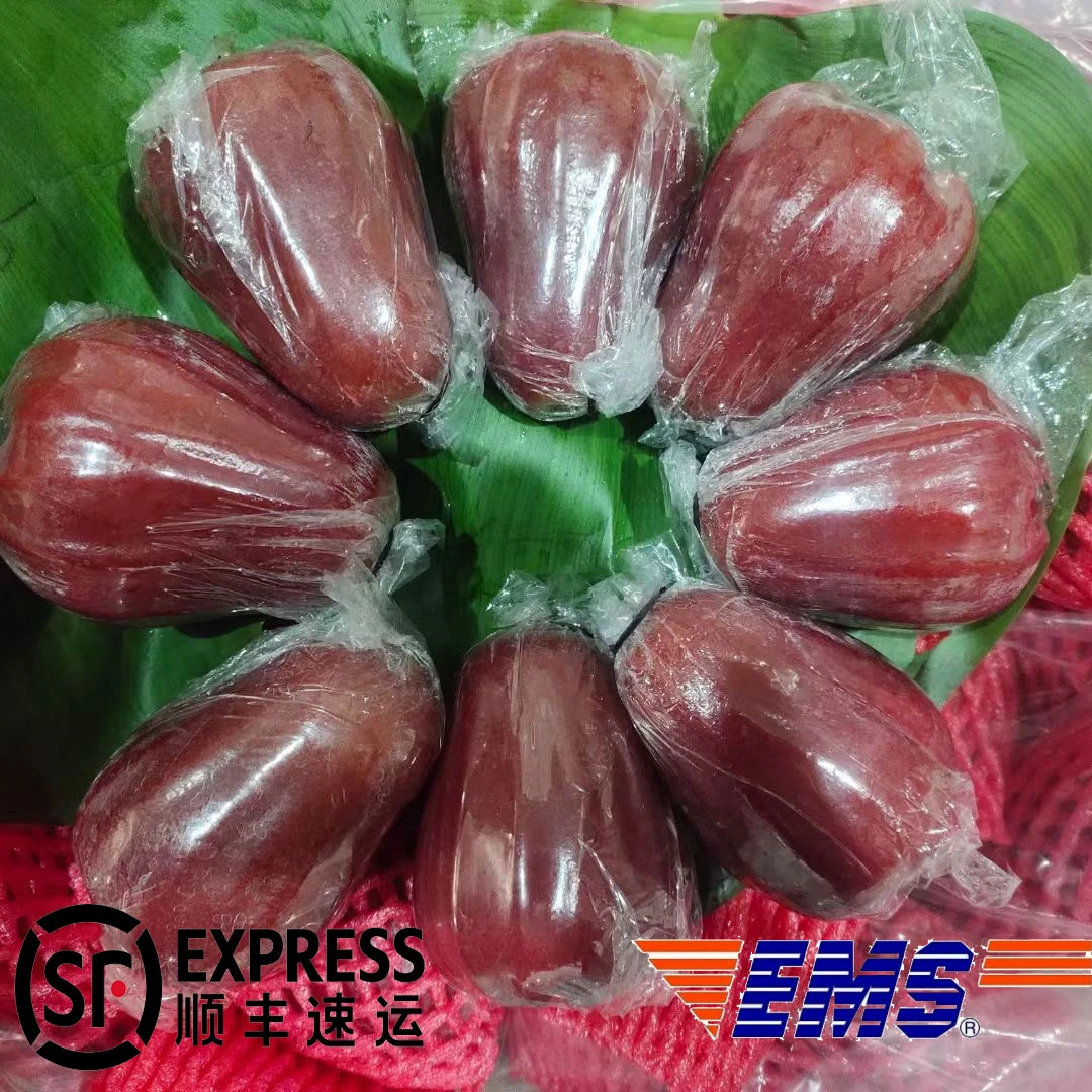 【顺丰/EMS】泰国黑金刚莲雾现货现发清甜汁水足孕妇新鲜水果清脆